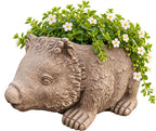 22nice4me Garden Statues concrete wombat planter with textured fur and white flowering plant in earthy brown finish