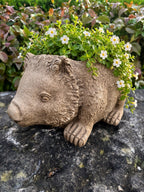 22nice4me Garden Statues concrete wombat planter with textured fur and small white flowers in a garden setting