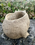 22nice4me Garden Statues concrete wombat planter with a textured earthy finish for succulents and small plants
