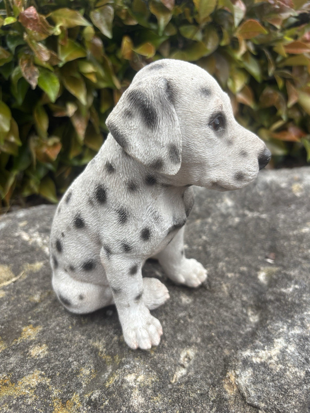 22nice4me Garden Statues resin Dalmatian puppy ornament with black spots and detailed fur texture sitting outdoors