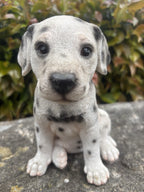 22nice4me Garden Statues resin Dalmatian puppy ornament with black spots and detailed fur texture in a garden setting