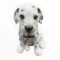 22nice4me Garden Statues resin Dalmatian puppy ornament with black spots and detailed fur texture in a sitting pose