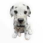 22nice4me Garden Statues resin Dalmatian puppy ornament with black spots and detailed fur texture in a sitting pose