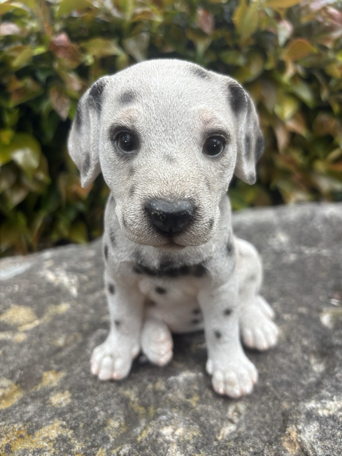 22nice4me Garden Statues resin Dalmatian puppy ornament with black spots and detailed fur for indoor or outdoor decor