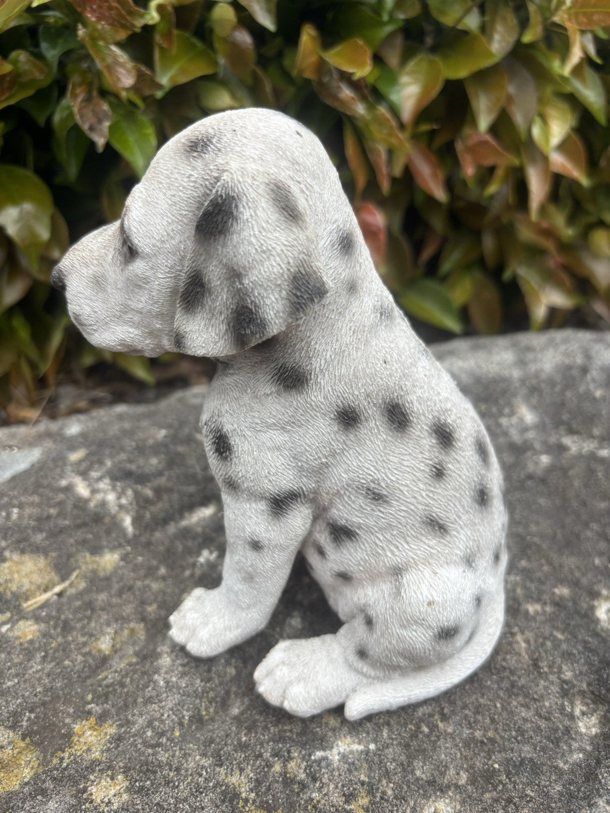 22nice4me Garden Statues resin Dalmatian puppy figurine with black spots sitting on a stone surface in a garden