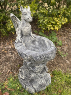 22nice4me Garden Statues hand-painted concrete dragon bird bath ornament with textured grey stone finish in a garden