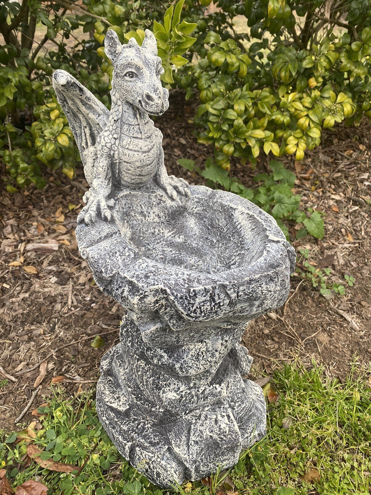 22nice4me Garden Statues hand-painted concrete dragon bird bath ornament with textured grey stone finish in a garden