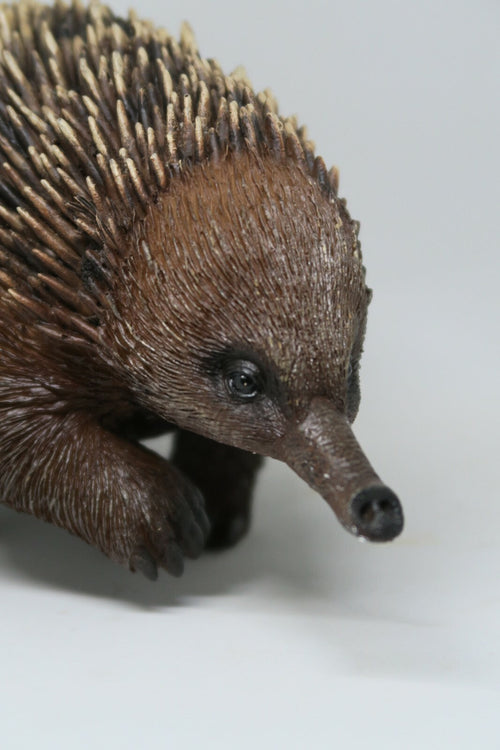 22nice4me Garden Statues hand-painted poly resin echidna figurine with realistic brown fur and sharp quills