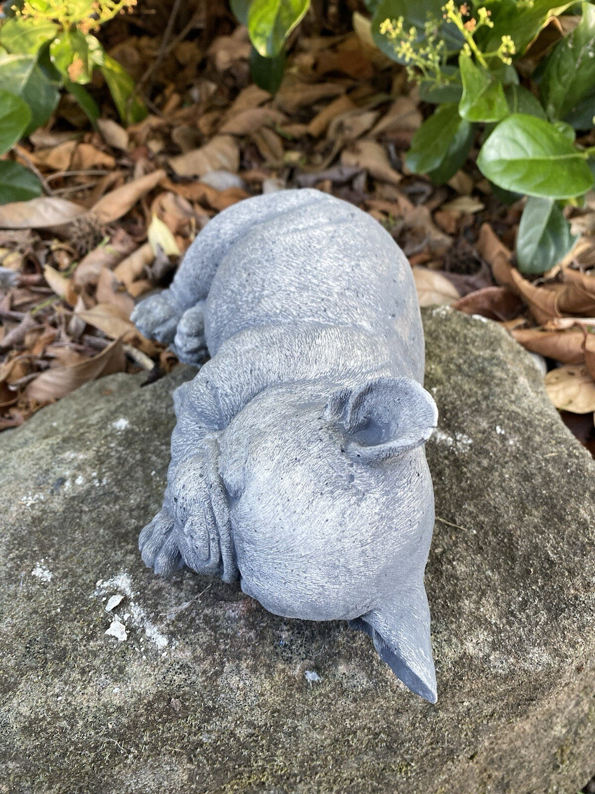 22nice4me Garden Statues French Bulldog concrete ornament resting on a stone in a garden setting