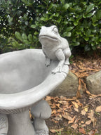 22nice4me Garden Statues grey resin frog bird bath with mushroom detail in a natural garden setting