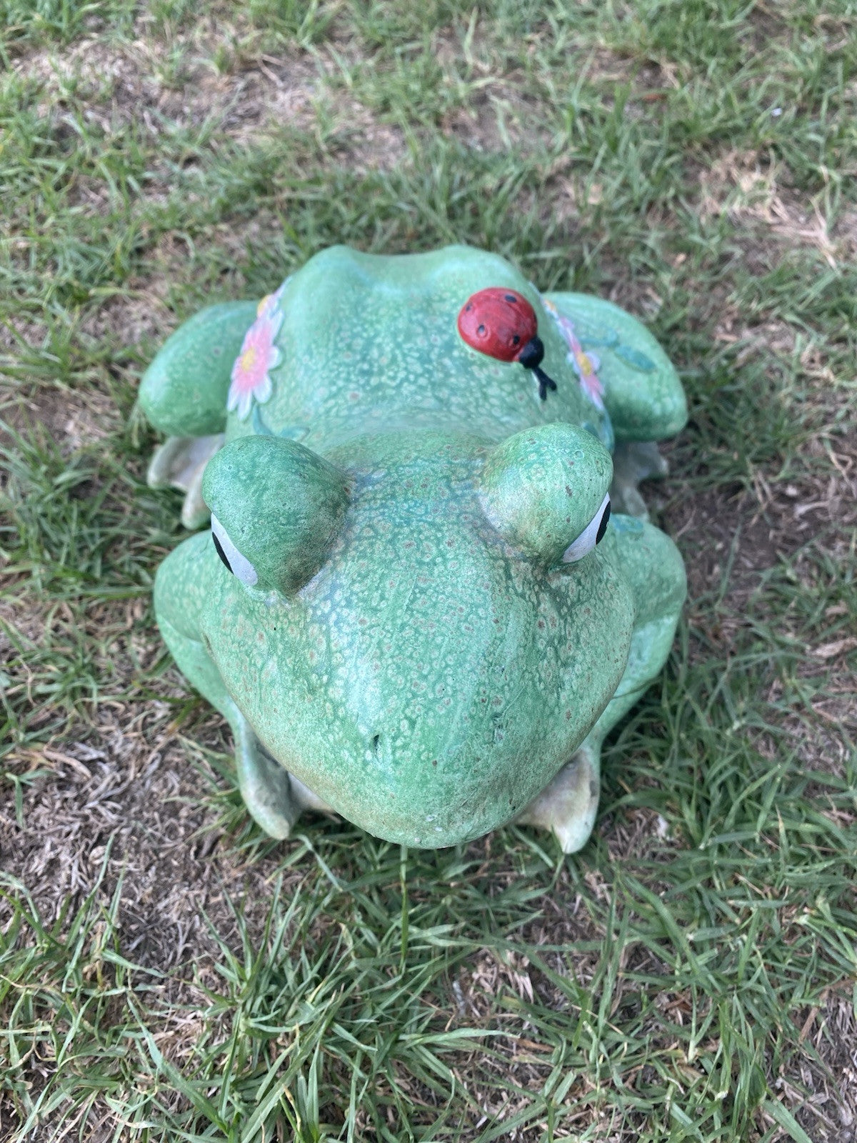 22nice4me Garden Statues fireclay frog ornament with a lady beetle and flowers in an antique green finish on grass