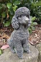 22nice4me Garden Statues grey concrete poodle dog ornament with detailed fur texture sitting in a garden setting