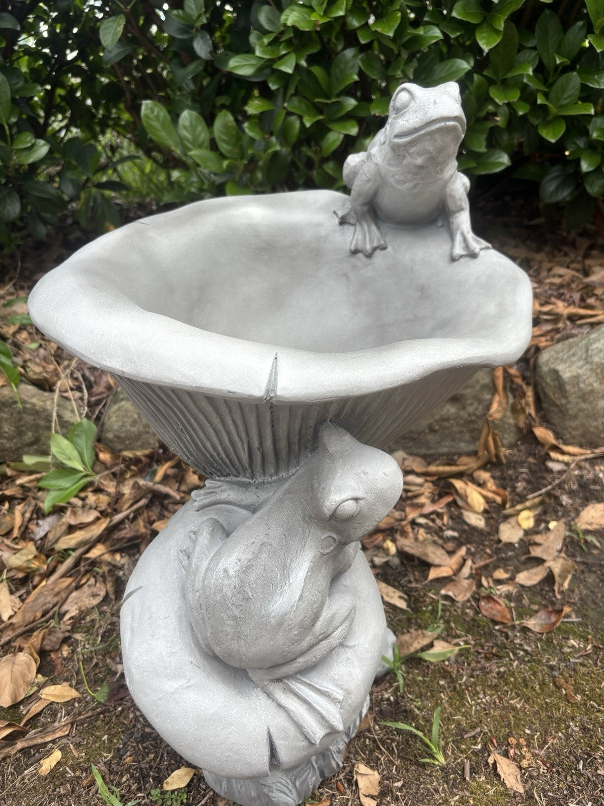 22nice4me Garden Statues grey resin frog bird bath with mushroom details in a garden setting