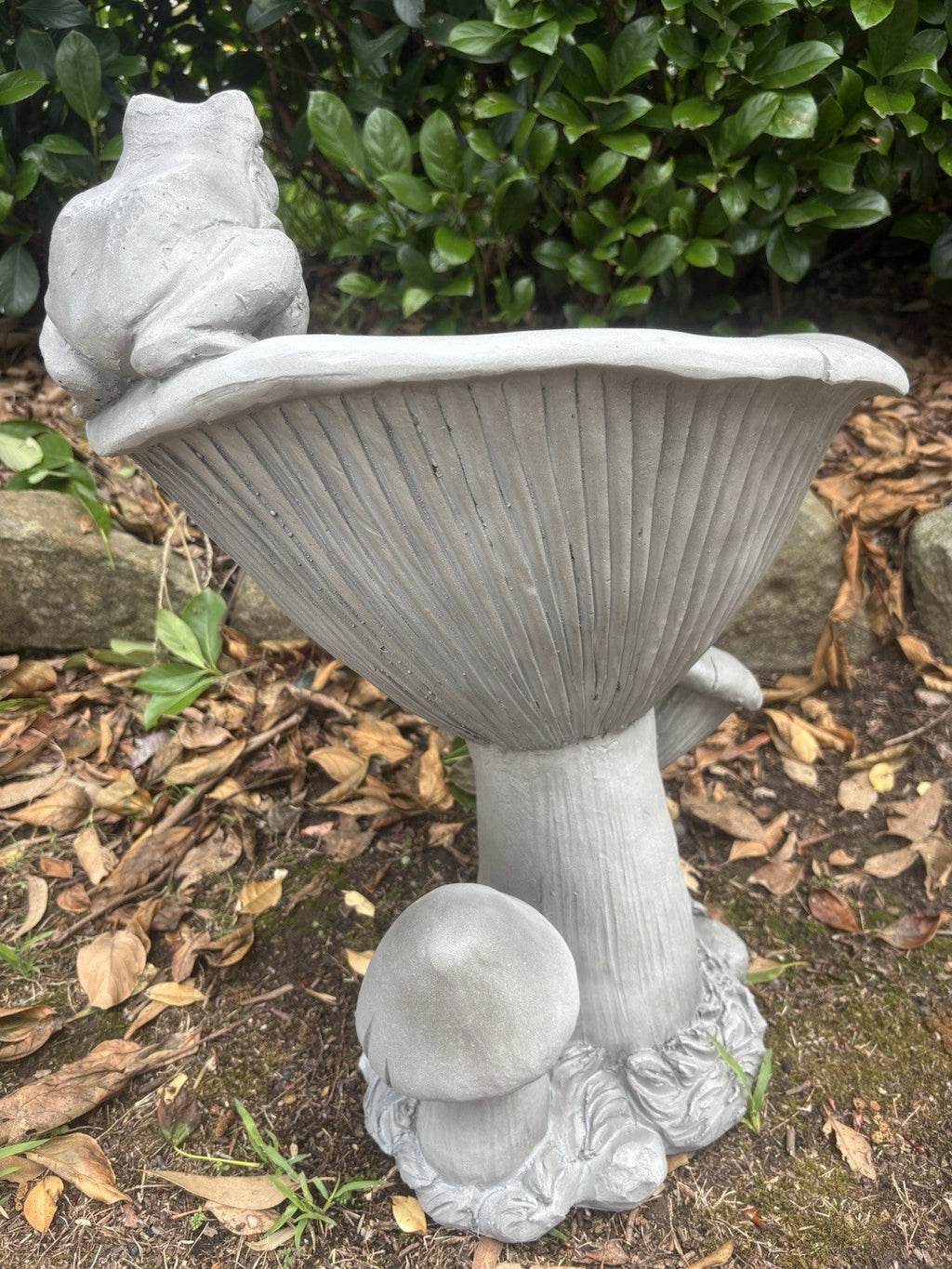 22nice4me Garden Statues grey resin frog bird bath with mushroom details in a garden setting