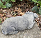 22nice4me Garden Statues laying Fox Terrier dog ornament made of grey weather-resistant concrete in a garden setting