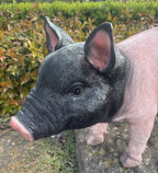 22nice4me Garden Statues resin pig ornament with a black head and pink body, featuring realistic textured details.