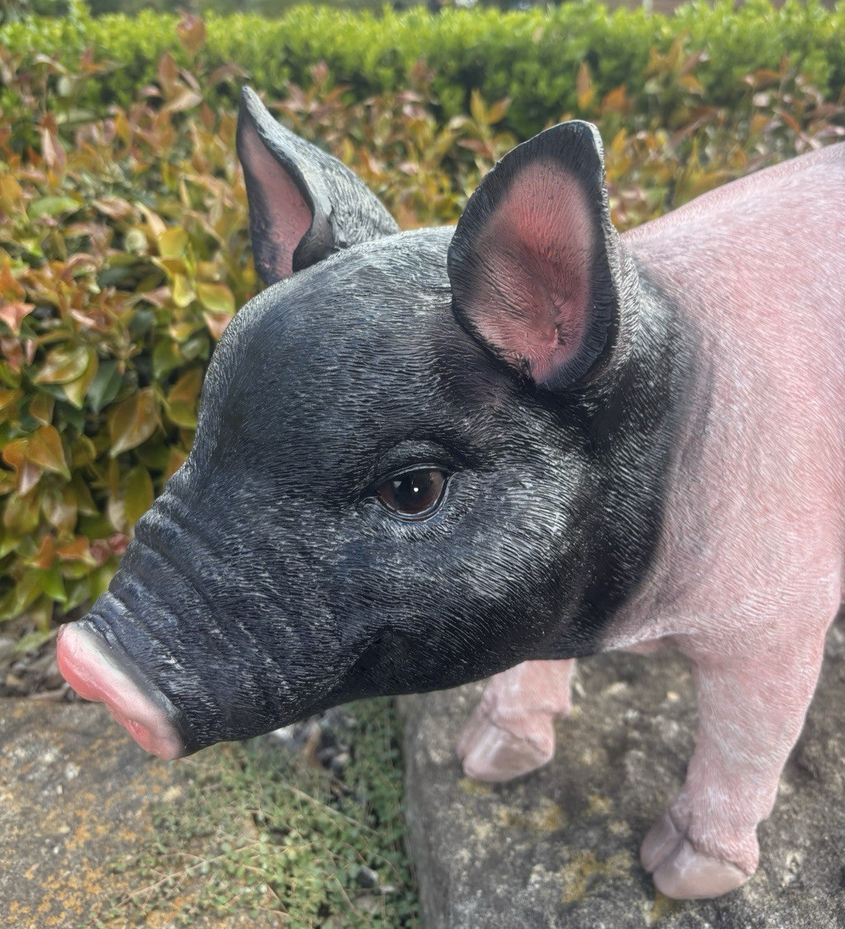 22nice4me Garden Statues resin pig ornament with a black head and pink body, featuring realistic textured details.
