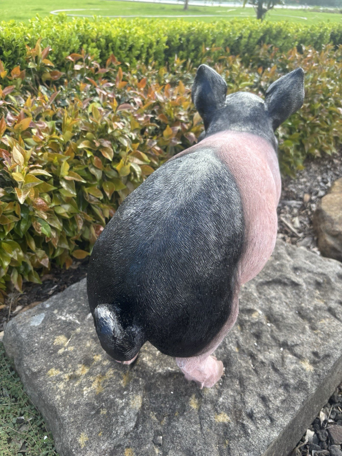 22nice4me Garden Statues resin pig ornament with pink and black textured finish standing on a stone in a garden