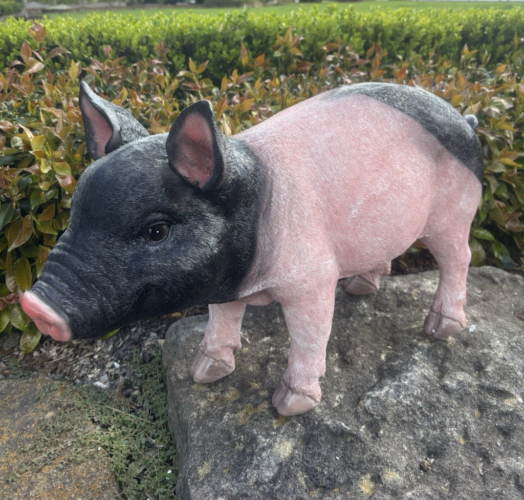 22nice4me Garden Statues realistic resin pig ornament with pink body and black head standing on a garden rock