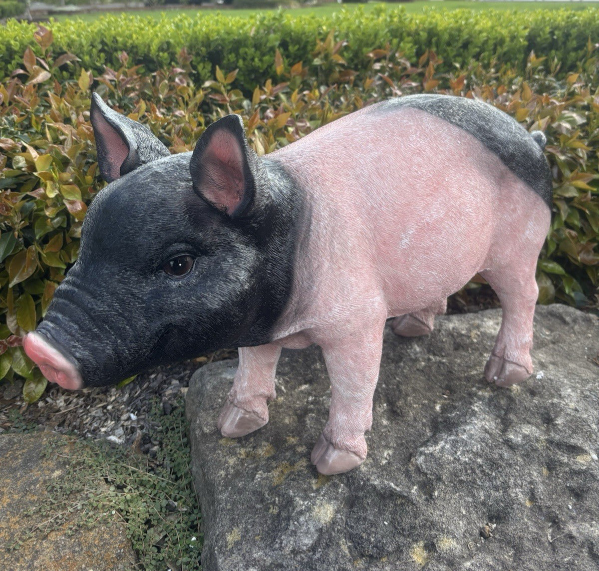 22nice4me Garden Statues realistic resin pig ornament with pink body and black head standing on a garden rock