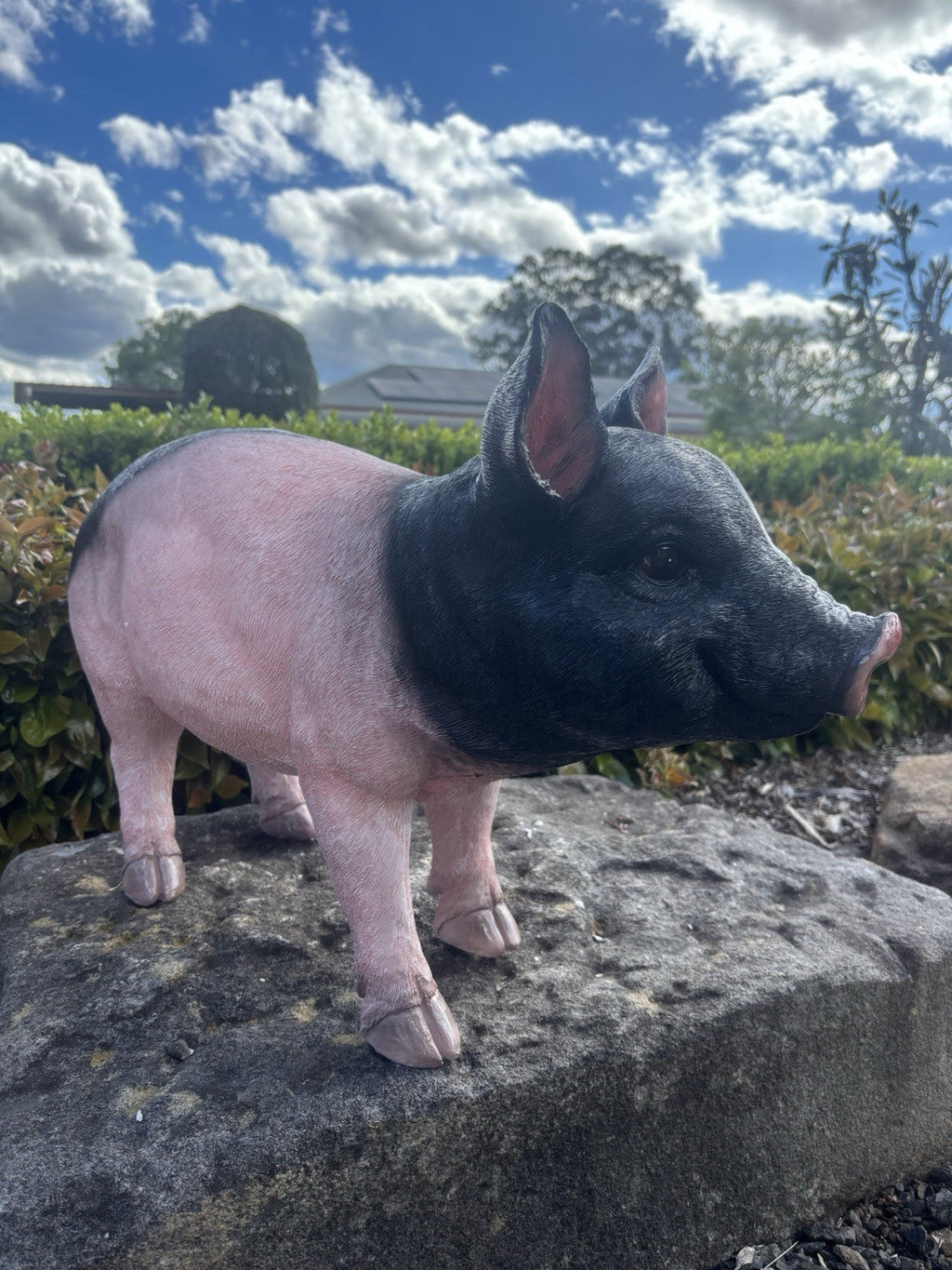 22nice4me Garden Statues resin pig ornament with a pink body and black head standing on a rock in a garden setting