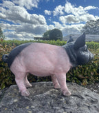 22nice4me Garden Statues resin pig ornament with pink and black colouring standing on a rock in a garden setting