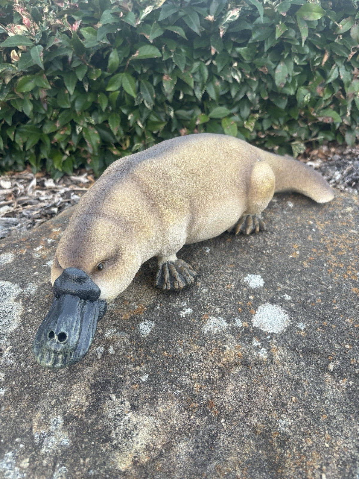 22nice4me Garden Statues resin platypus ornament with realistic hand-painted details on a stone surface