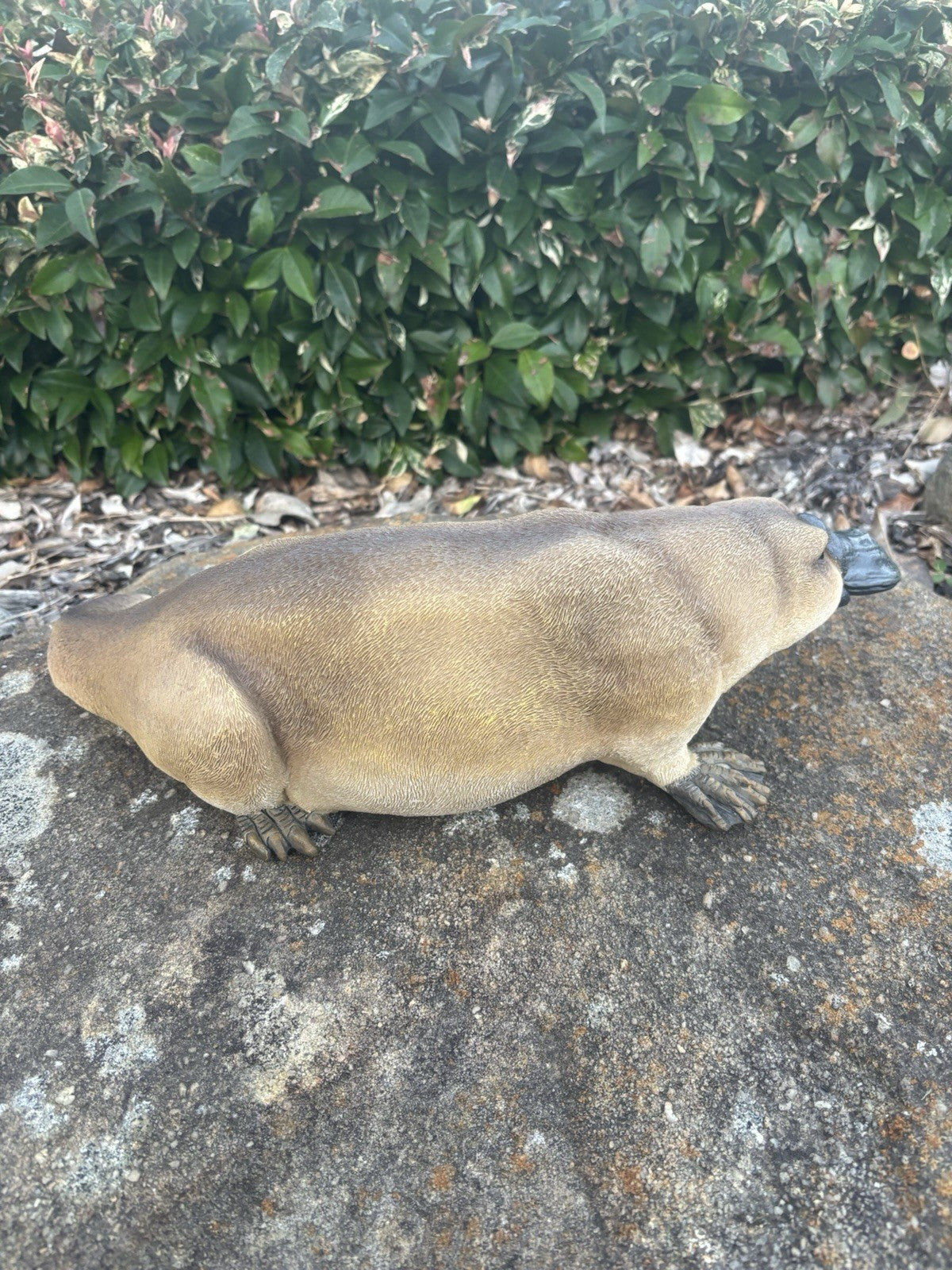 22nice4me Garden Statues resin platypus ornament with realistic brown fur and black bill on a stone surface