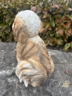 22nice4me Garden Statues resin Shih Tzu dog ornament in white and tan, shown from behind on a stone surface.