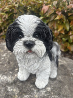 22nice4me Garden Statues realistic black and white resin Shih Tzu dog ornament with detailed fur and glossy eyes
