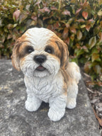 22nice4me Garden Statues white and tan resin Shih Tzu dog ornament with realistic fluffy fur and glossy eyes