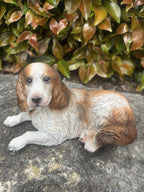 22nice4me Garden Statues resin Springer Spaniel dog ornament in brown and white, featuring a realistic lying pose.