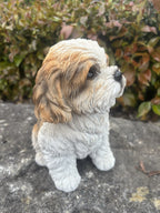 22nice4me Garden Statues white and tan resin Shih Tzu dog ornament with realistic fluffy fur and glossy eyes