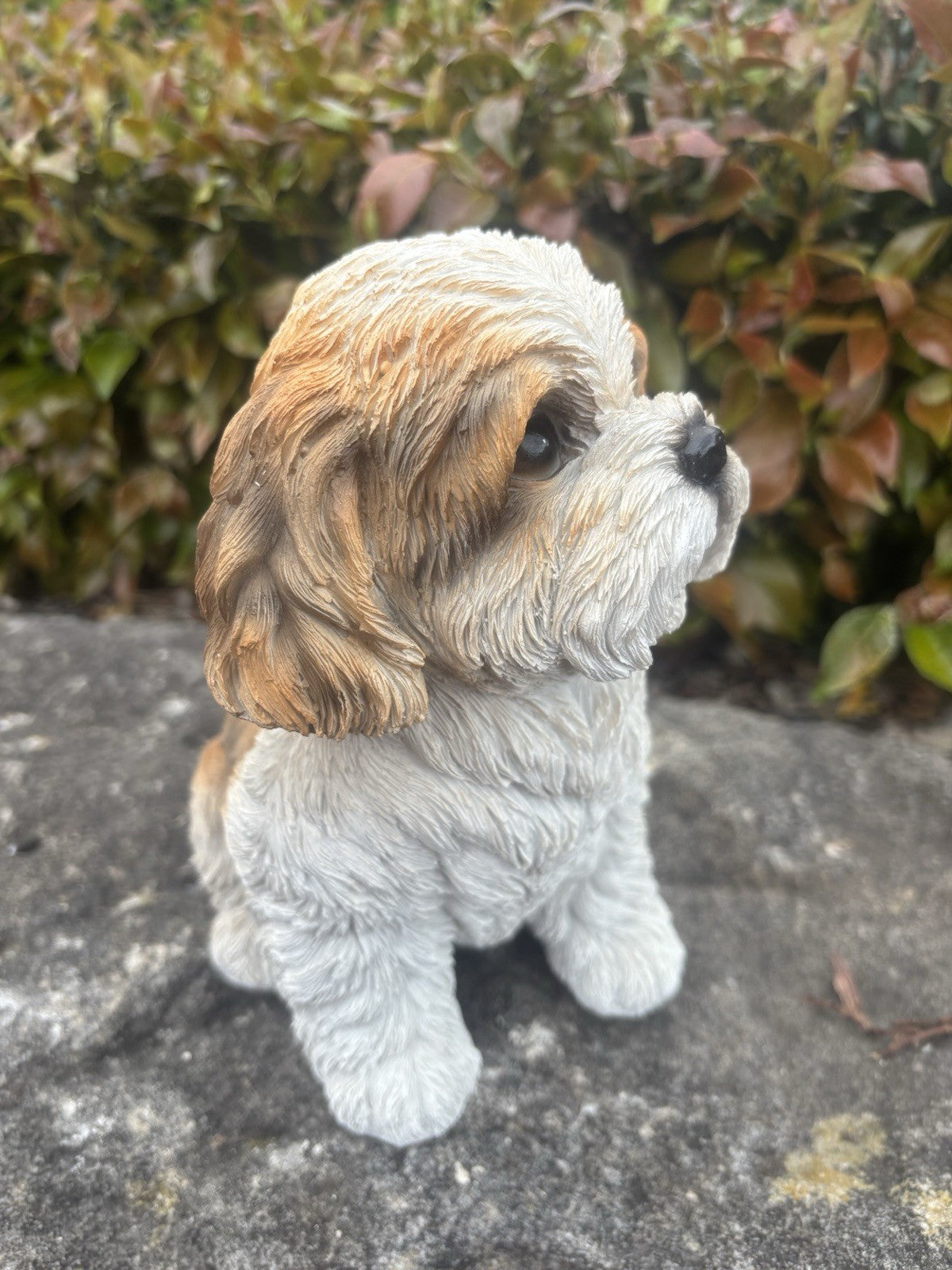 22nice4me Garden Statues white and tan resin Shih Tzu dog ornament with realistic fluffy fur and glossy eyes