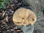 22nice4me Garden Statues ginger tabby cat sleeping statue made of concrete with an antique finish for outdoor gardens