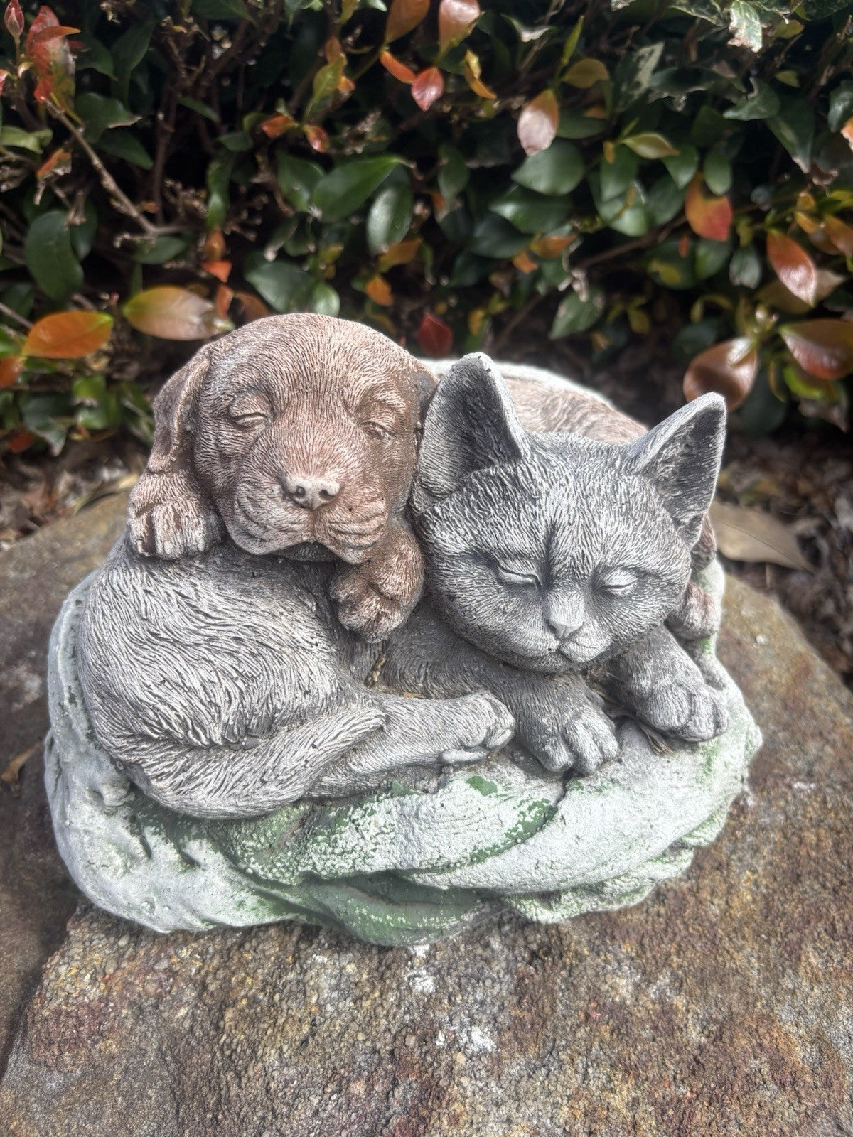 22nice4me Garden Statues concrete sleeping puppy and kitten ornament with detailed fur in grey and brown tones