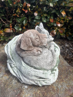 22nice4me Garden Statues concrete sleeping puppy and kitten ornament with detailed fur in a grey and brown finish