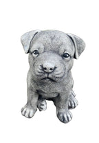22nice4me Garden Statues small concrete Staffordshire Bull Terrier dog ornament with detailed grey textured finish