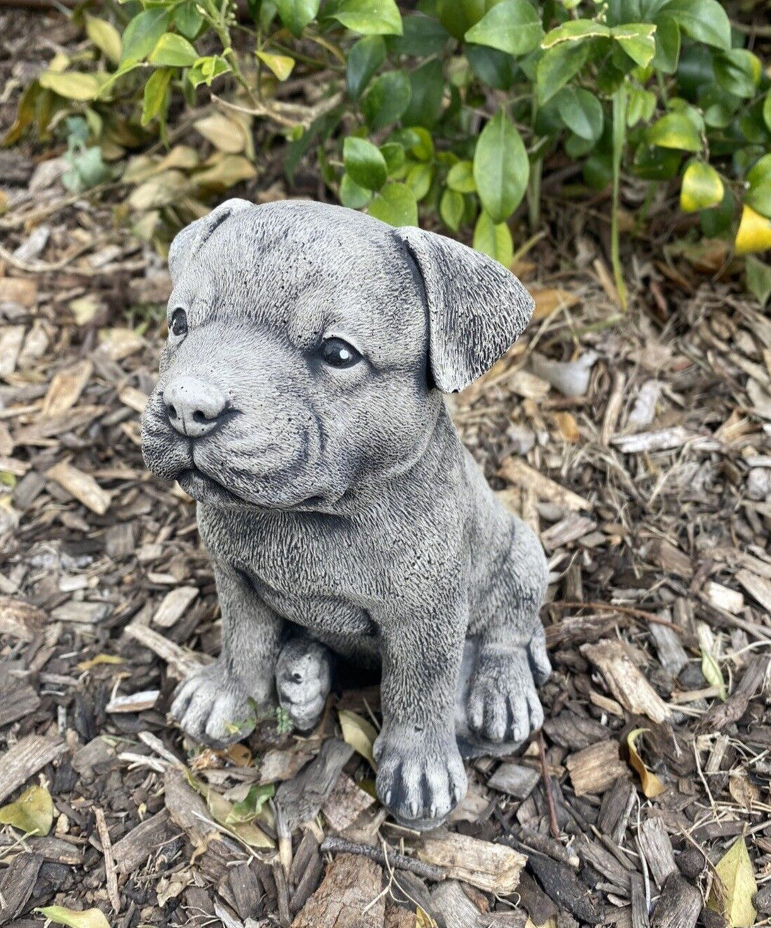 22nice4me Garden Statues small concrete Staffordshire Bull Terrier dog ornament sitting on wood mulch in a garden