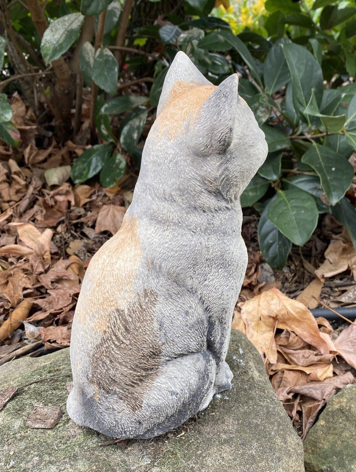 22nice4me Garden Statues tortoiseshell cat garden ornament made of concrete with an antique finish in a garden setting