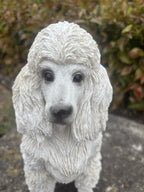 22nice4me Garden Statues white resin poodle dog ornament with detailed textured fur in a close-up garden setting