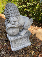 Concrete Foo Dogs Garden Statues – Fu Lion Guardian Ornaments Outdoor Decor Australia