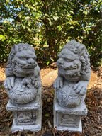 Concrete Foo Dogs Garden Statues – Fu Lion Guardian Ornaments Outdoor Decor Australia