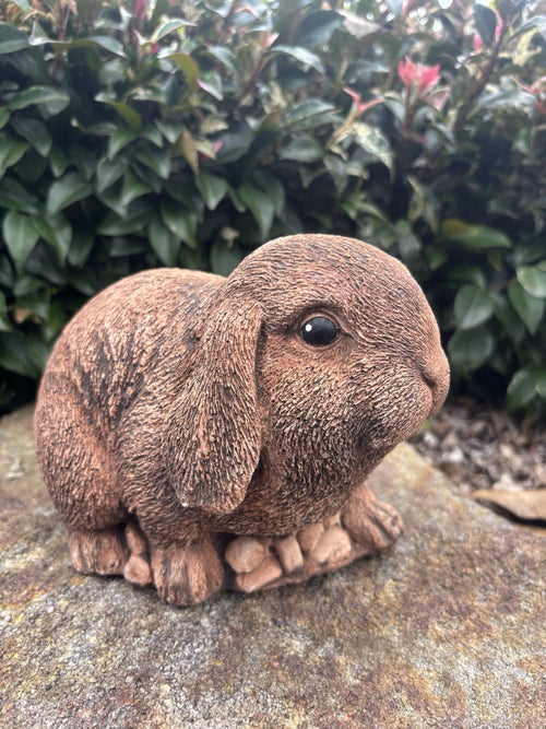 Australian Made Concrete Mini Lop Rabbit Garden Statue – Outdoor Garden Ornament
