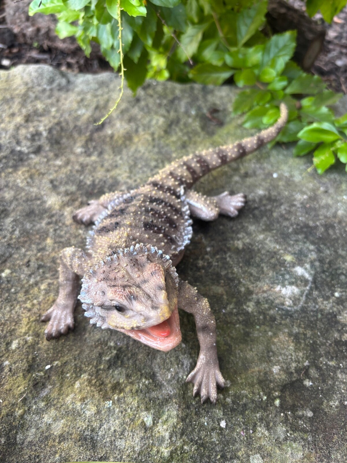 Bearded Dragon Lizard Garden Statue Ornament Figurine