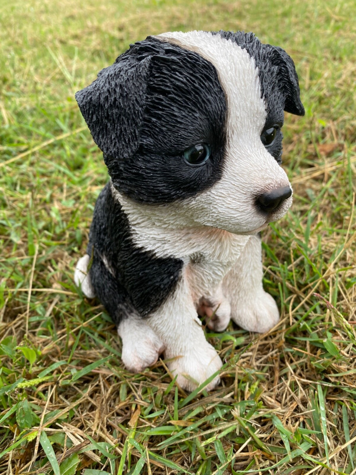 Border Collie Sitting Statue Working Sheepdog Ornament Memorial Home Decor 17 CM