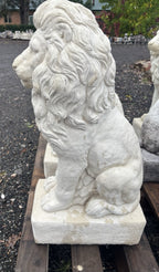 Guardian Lion Pair Statue Garden Statue  75cm Pick Up Only