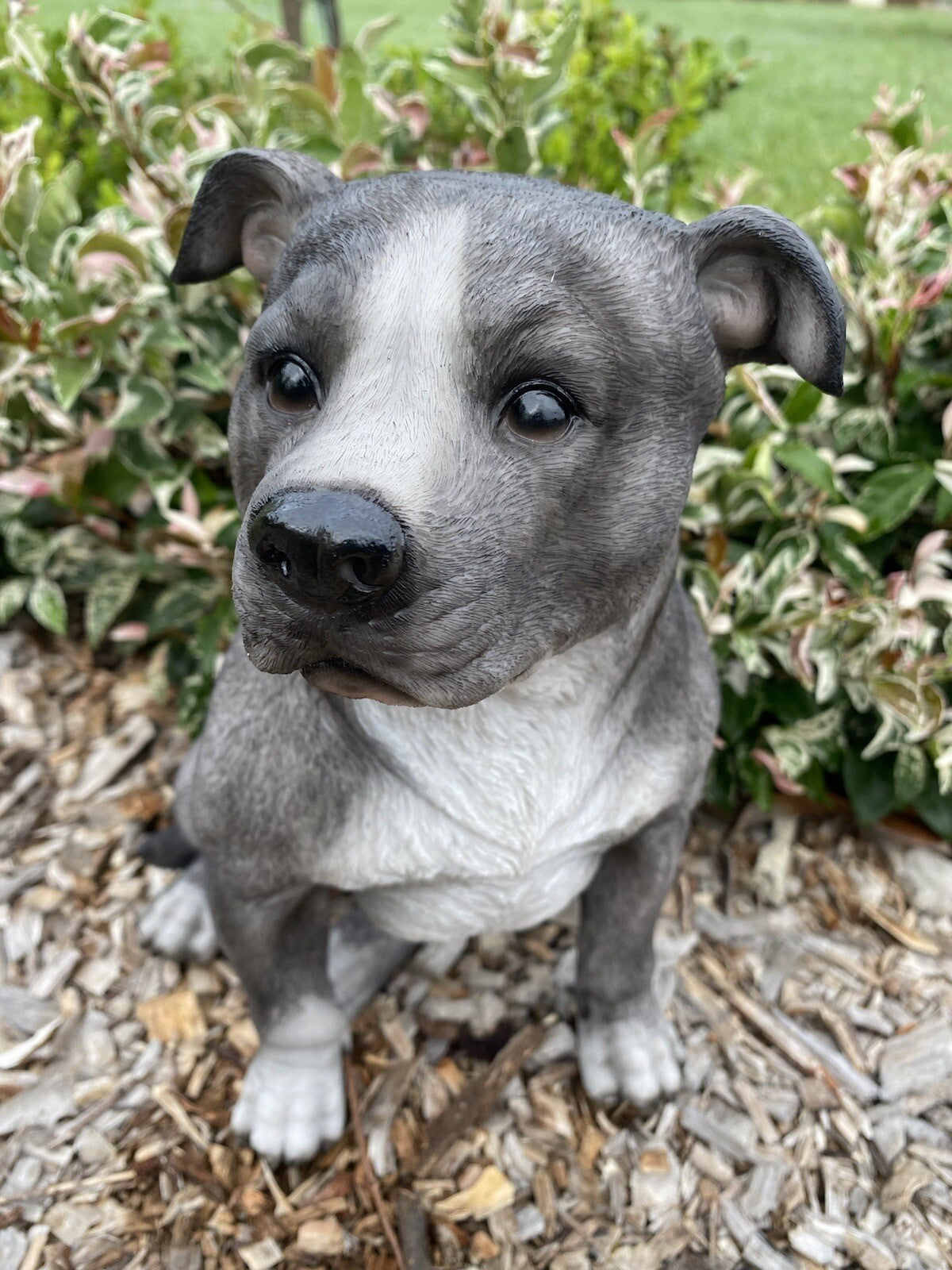 BLUE STAFFORDSHIRE -STAFFY PUPPY DOG ANIMAL GARDEN STATUE ORNAMENT FIGURINE