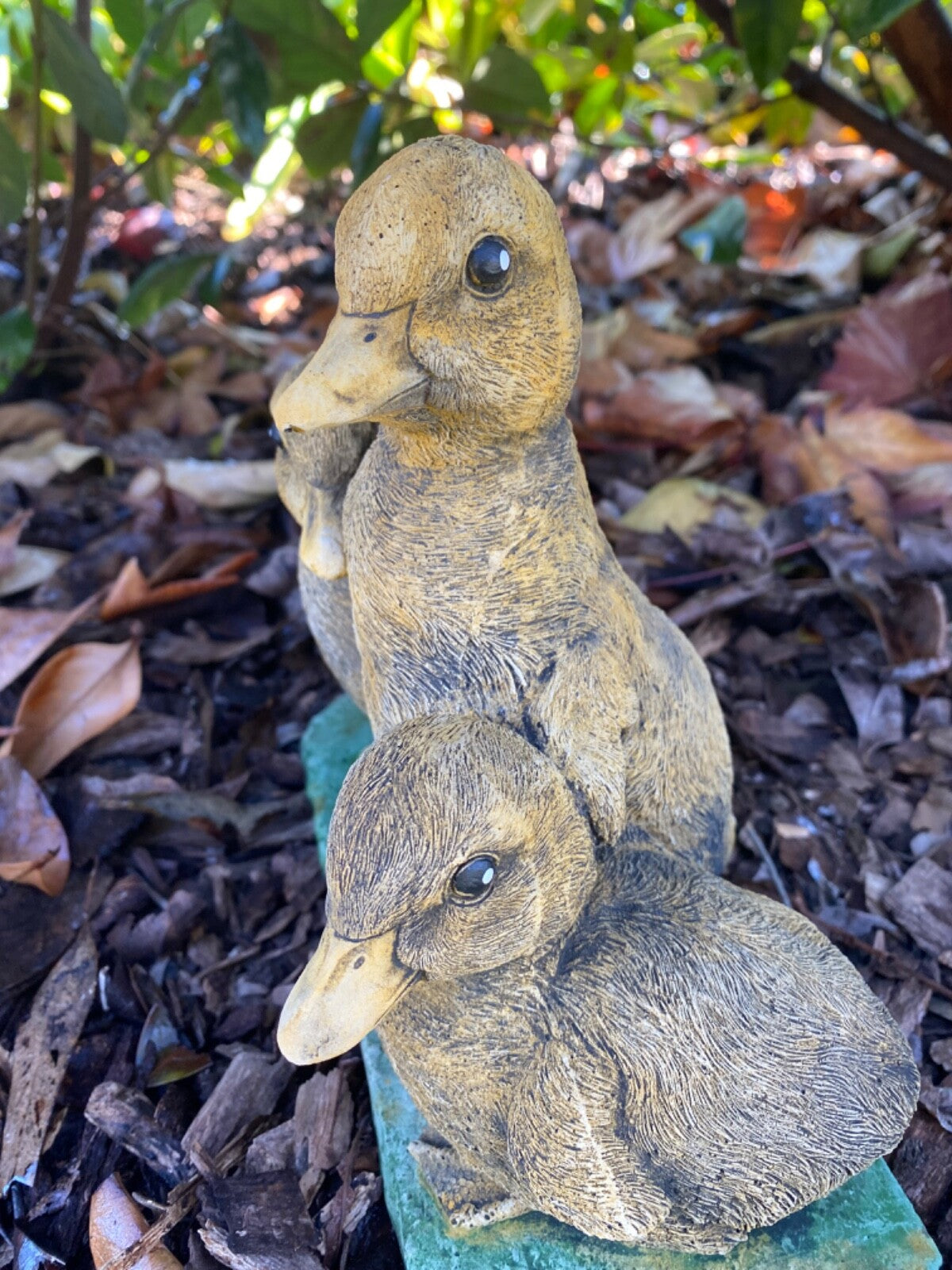 3 Duck Duckling Fowl Statue Ornament Farm Animal Concrete Garden Australian Made