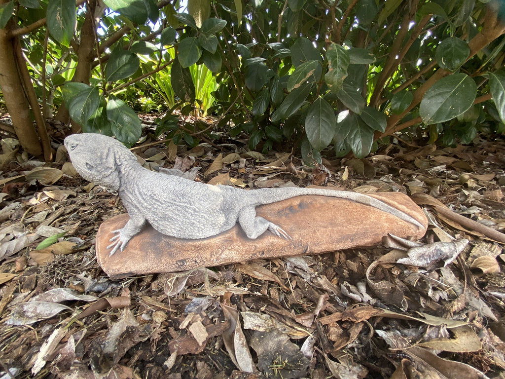 Bearded Dragon Lizard Statue Ornament Animal Concrete Garden Australian Made